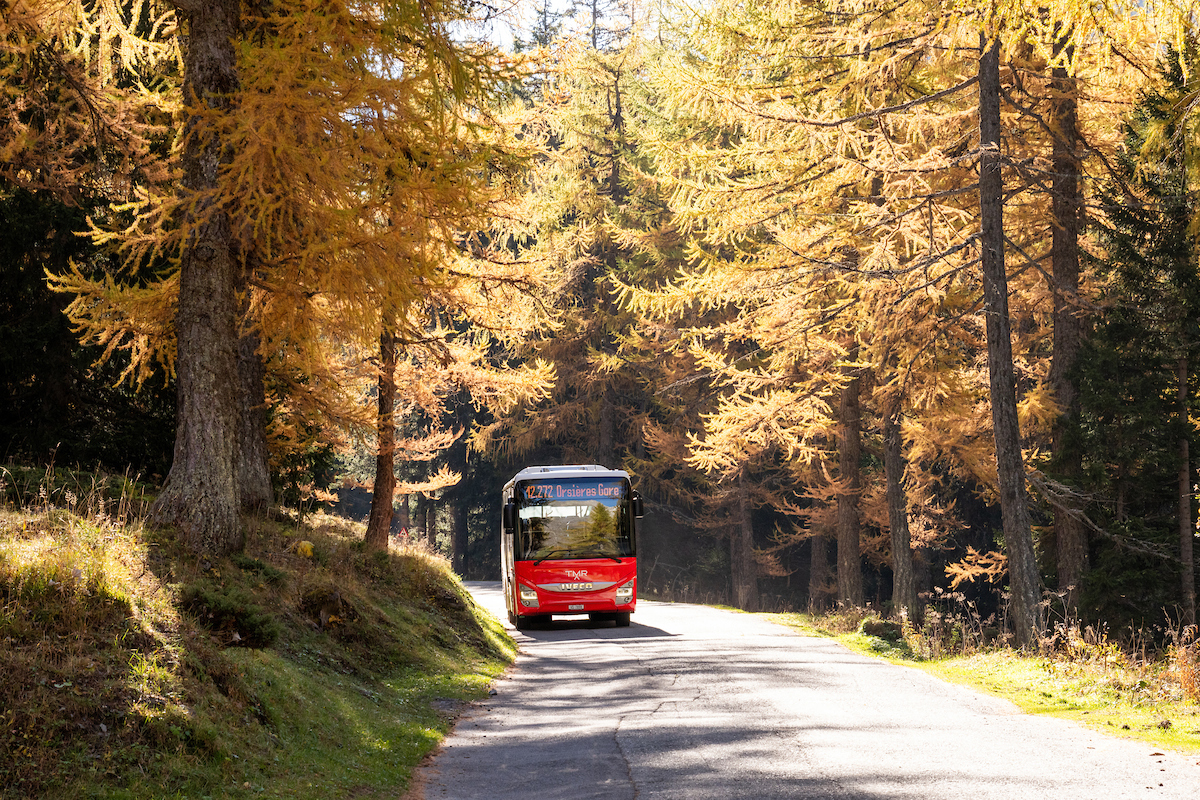 Train TMR traversant un paysage de montagne suisse