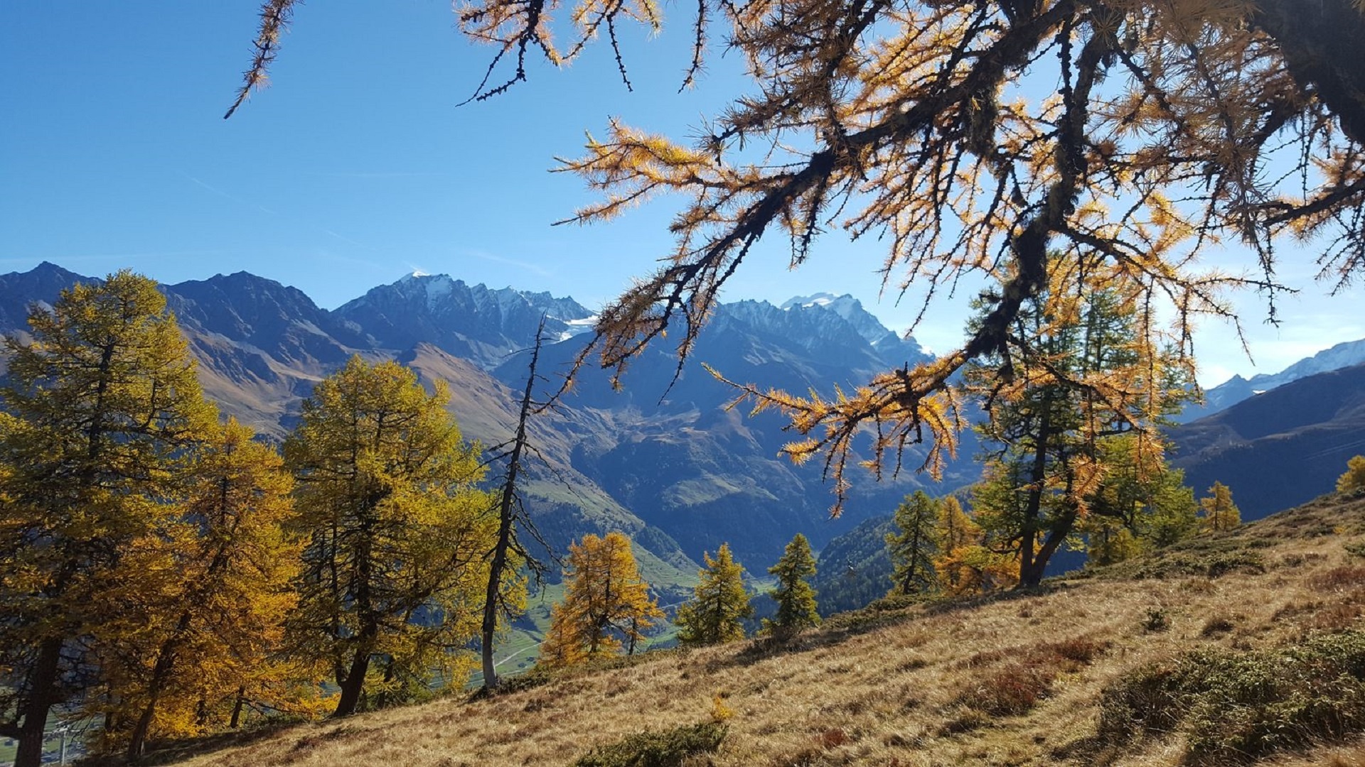 Vue depuis l’arête de Bavon sur le Val Ferret et le Val d’Entremont.