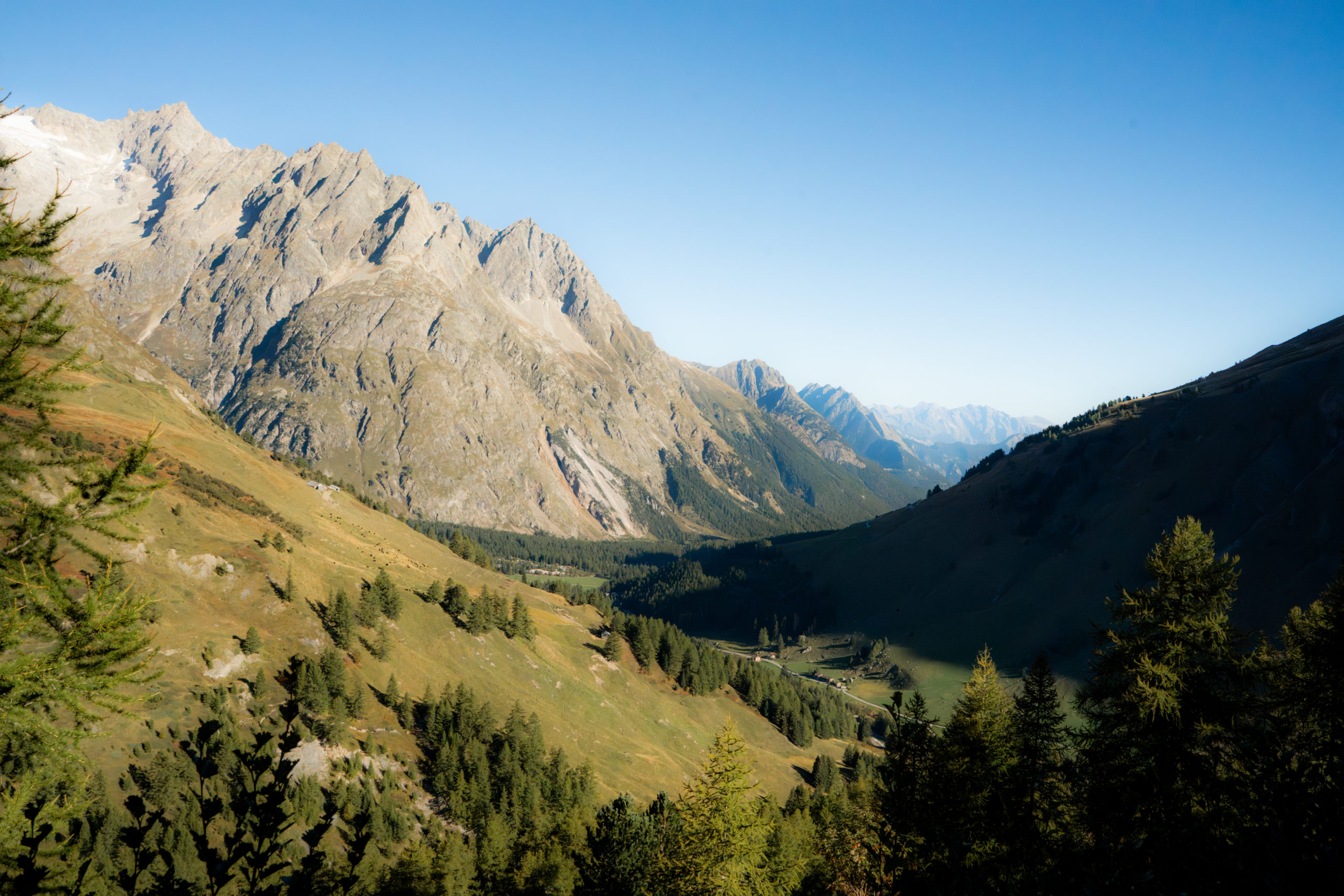 Panorama auf die Gletscher des Mont-Blanc-Massivs vom Val Ferret aus.