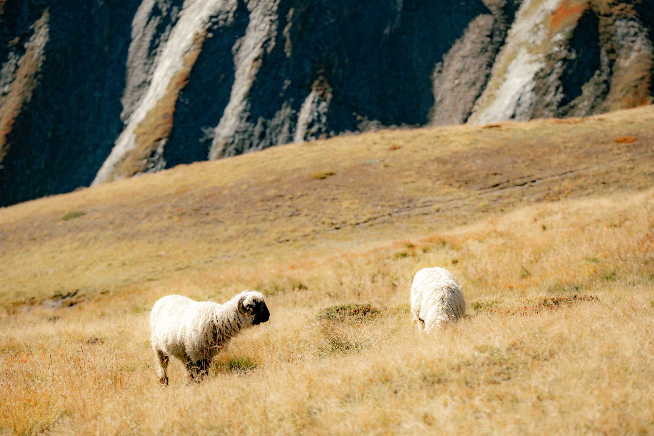 Bergweg in Richtung Col Ferret.