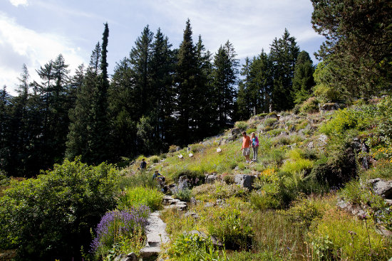 Rocailles fleuries et sentiers du jardin botanique alpin Flore-Alpe à Champex.